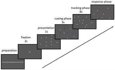 The relationship between sport types, sex and visual attention as assessed in a multiple object tracking task